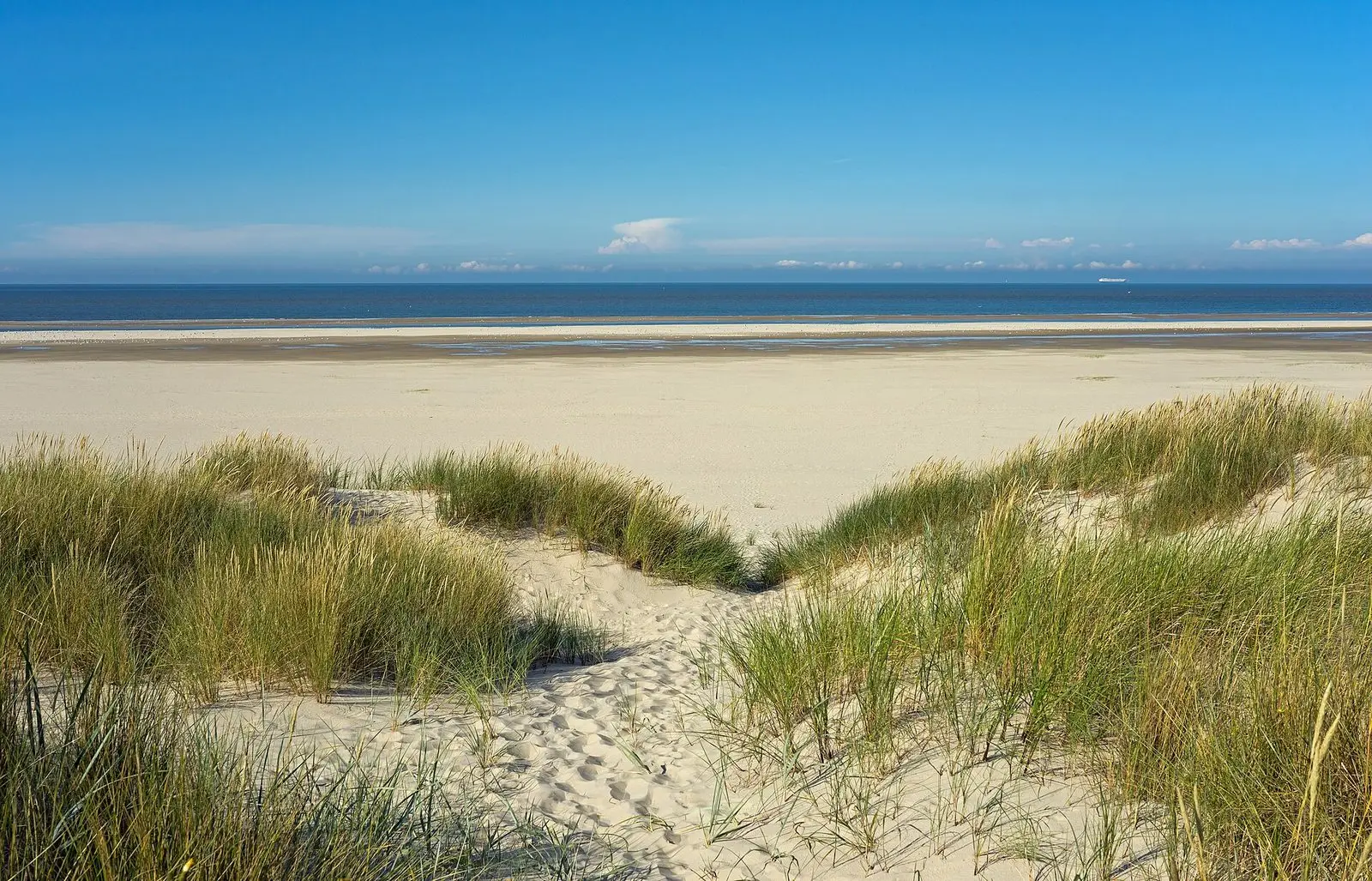 Sandweg durch Strandhafer-Dünen zum Strand im Nordosten von Wangerooge