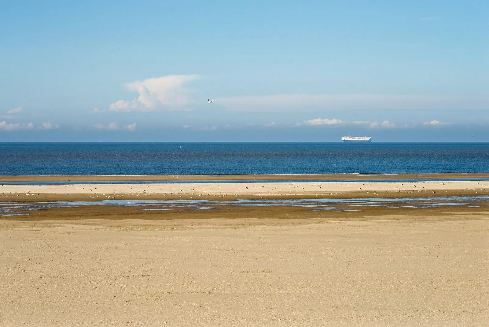 Weiter, leerer Strand im Nordosten von Wangerooge