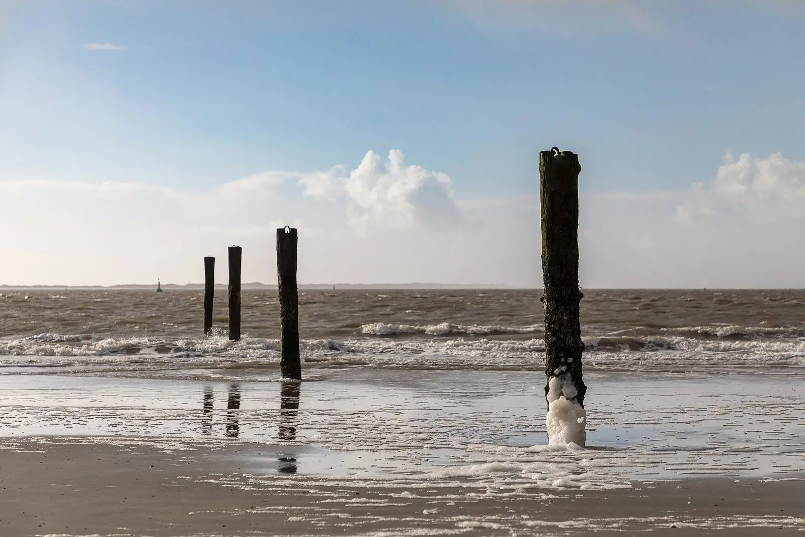 Holzpfähle im Wasser am Weststrand von Norderney in Abendstimmung