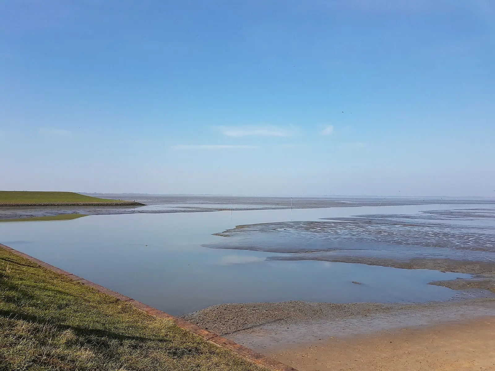 Deichvorland und Wasserflächen am Jadebusen in Dangast bei Ebbe