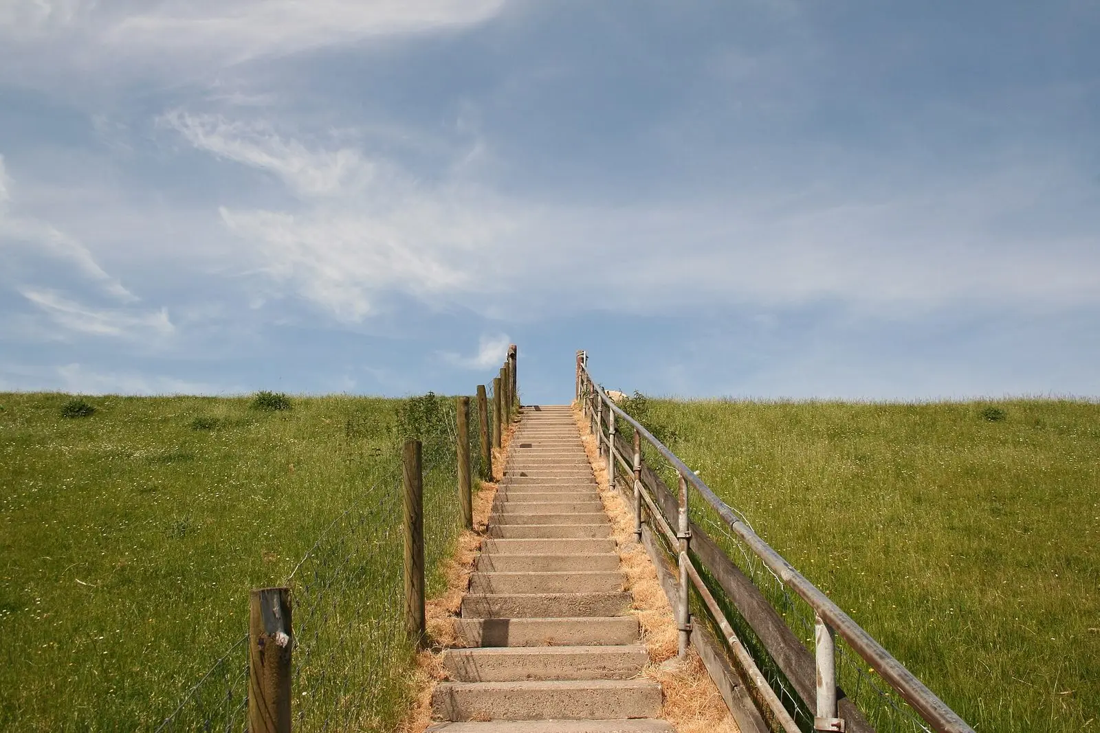 Holztreppe über den grünen Deich bei Tossens