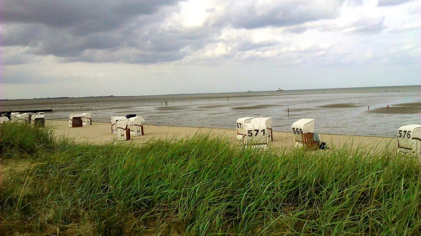 Strandkörbe hinter Dünengras am Strand von Hooksiel mit Blick auf den Jadebusen