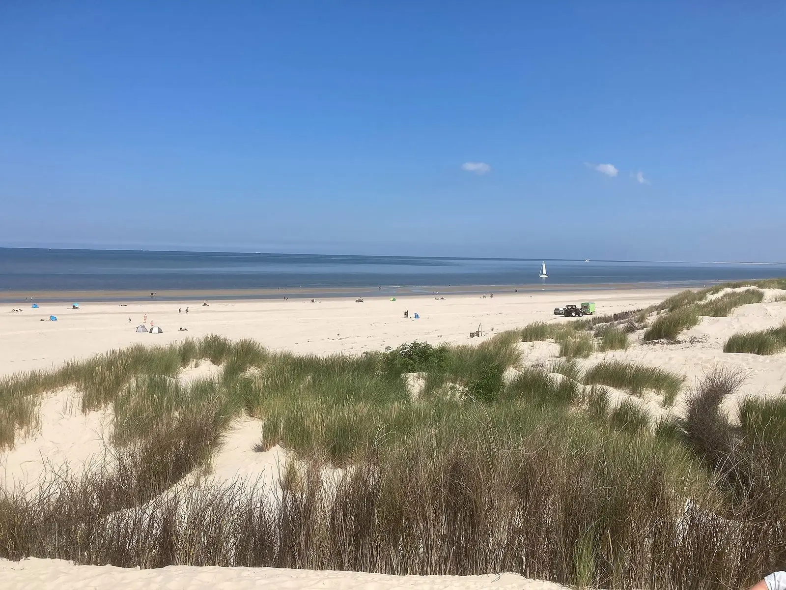 Dünen mit Strandhafer und dahinter der breite Strand von Borkum