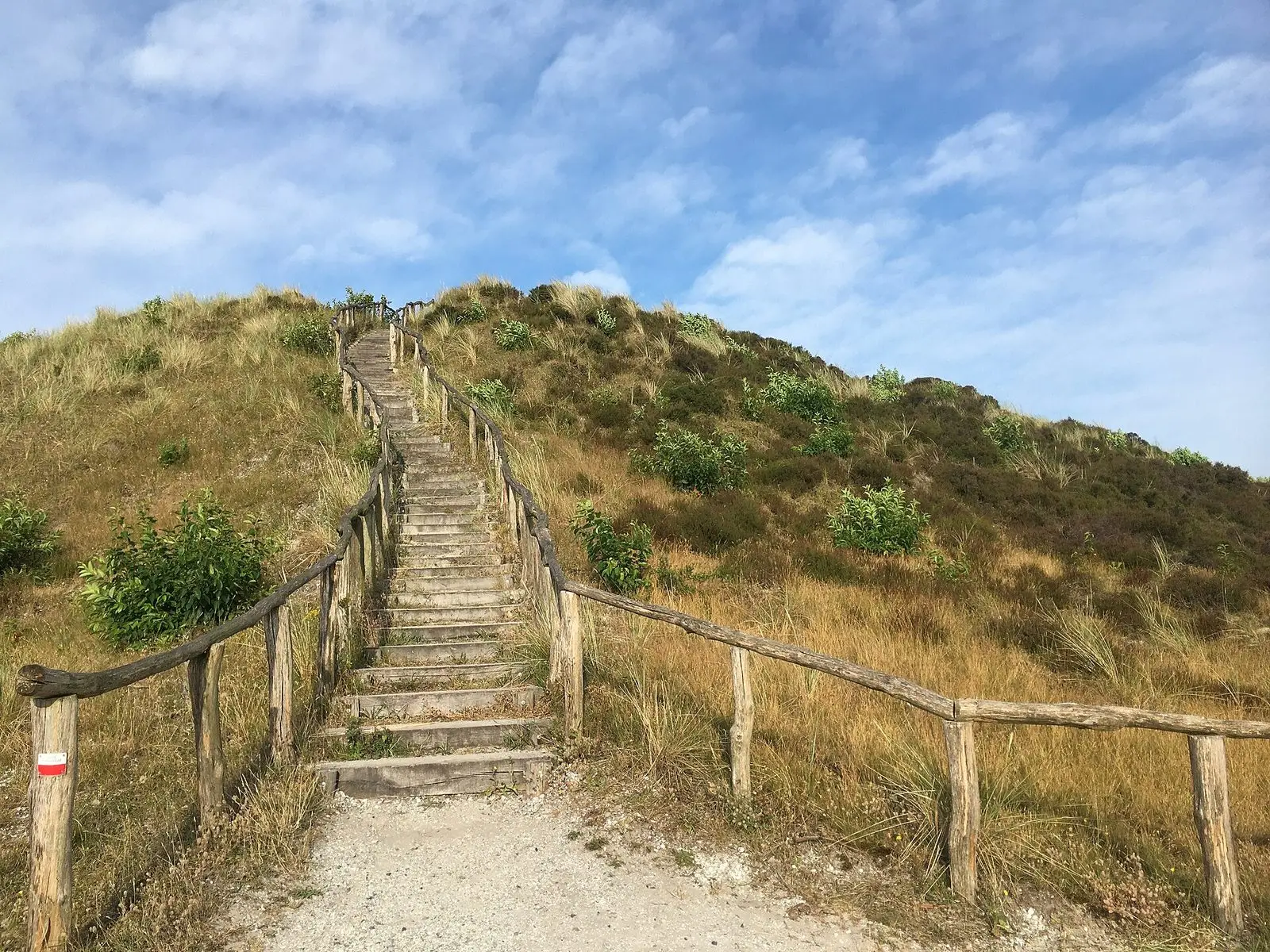Holztreppe auf eine Düne in den Schoorler Dünen bei Bergen