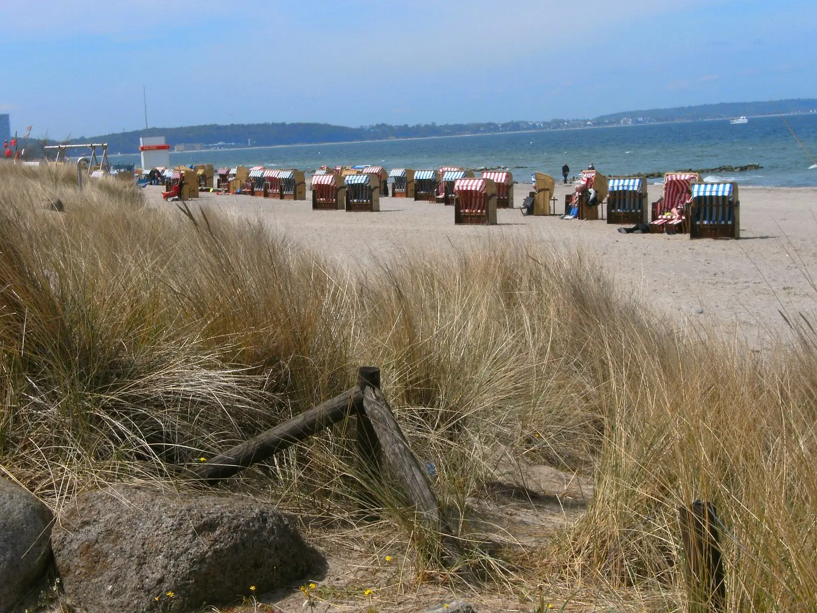 Strandhafer und Strandkörbe am Strand von Niendorf (Timmendorfer Strand)