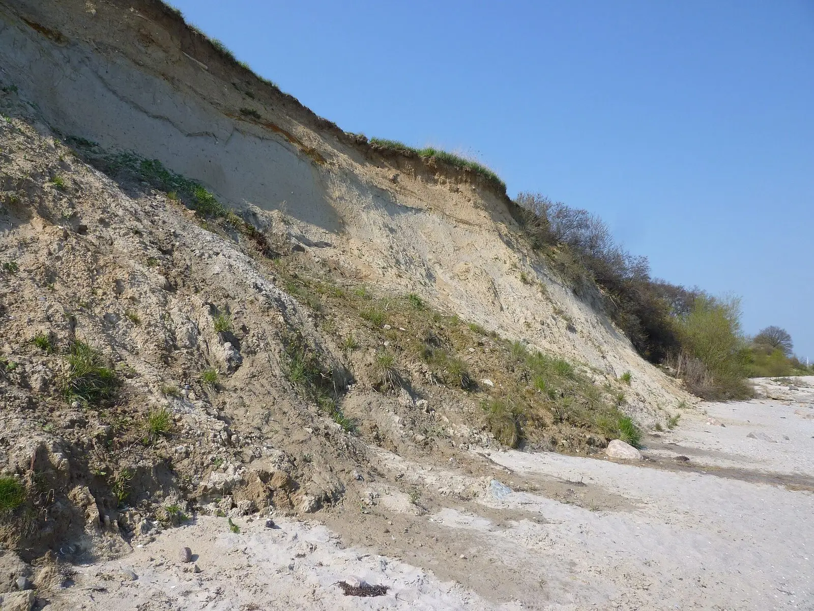 Steilküste mit schmalem Naturstrand an der Ostsee bei Grömitz