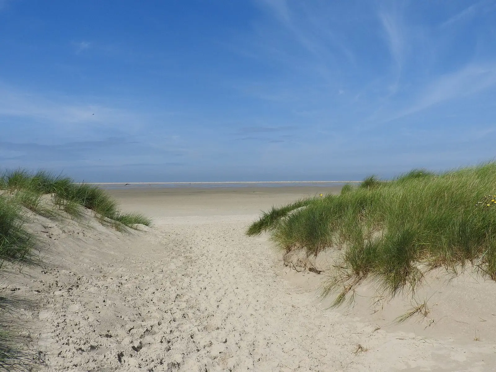 Sandweg durch die Dünen zum Strand auf Borkum