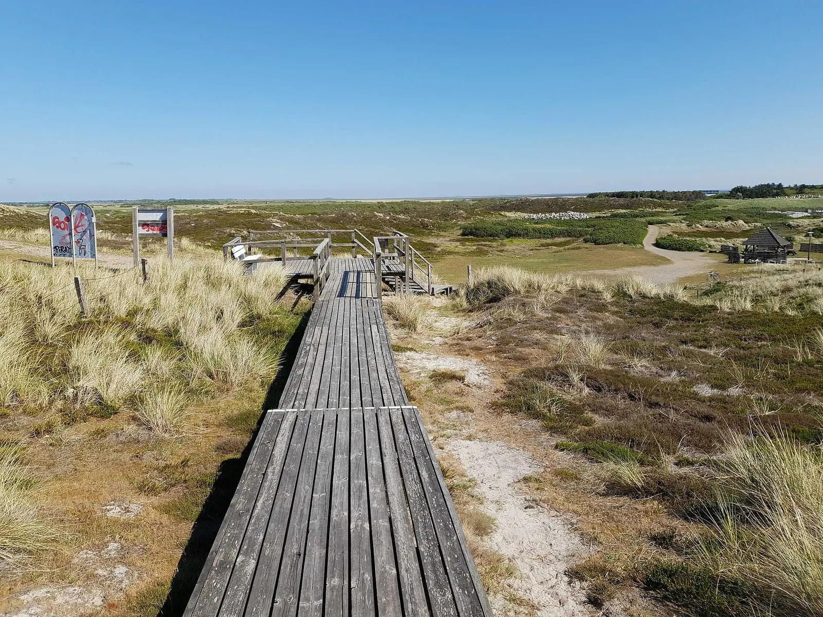 Holzsteg durch Dünen und Heide am Strandübergang 53