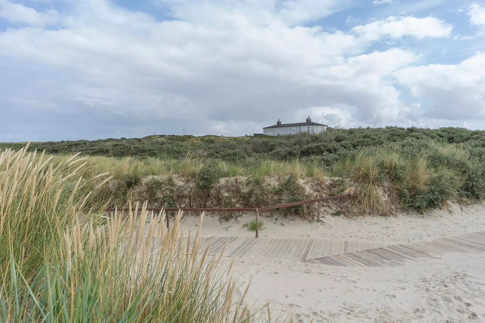 Strandhafer und bewachsene Dünen am Langeooger Strand, oben ein Gebäude in den Dünen