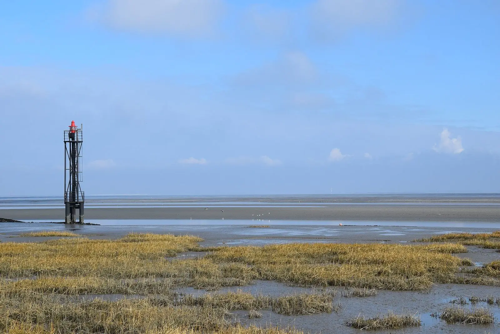 Salzwiese und Wattenmeer bei Fedderwardersiel mit Leuchtfeuer