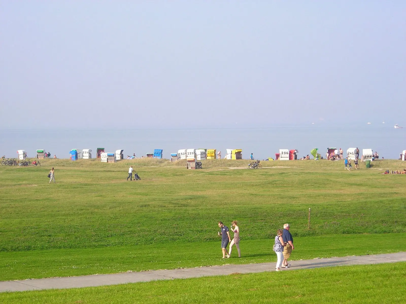 Große Liegewiese und Strandkörbe am Strand von Hooksiel