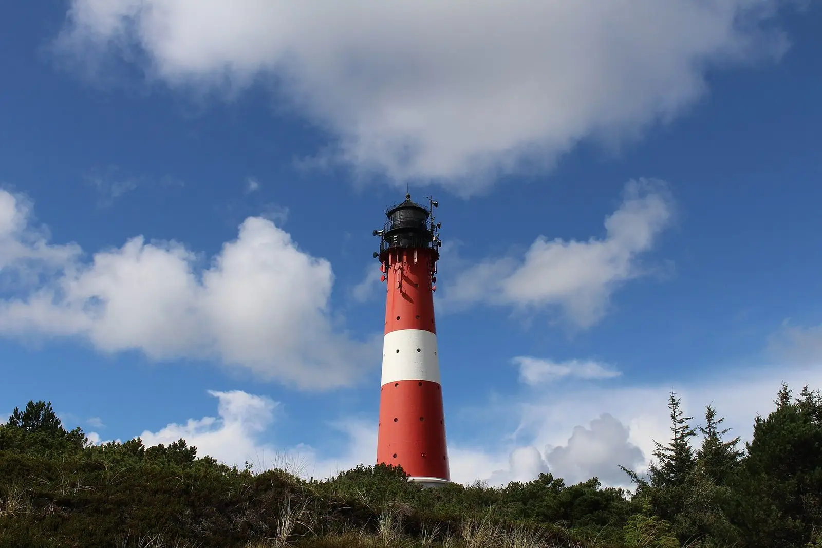 Rot-weißer Leuchtturm Hörnum über Dünen und Kiefern