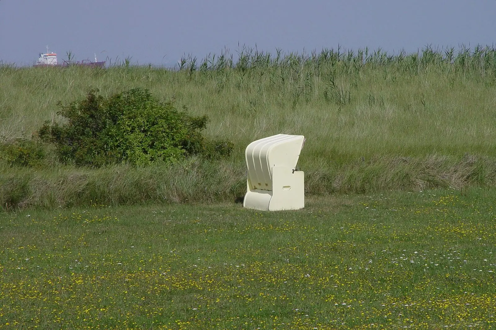 Einzelner weißer Strandkorb auf der Wiese am Grünstrand in Döse