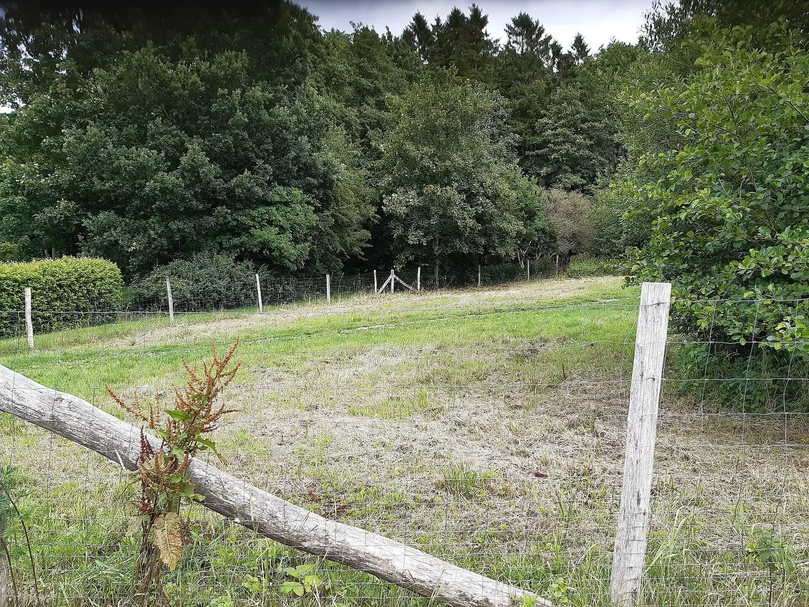Eingezäunte Auslauffläche der Børkop Hundeskov