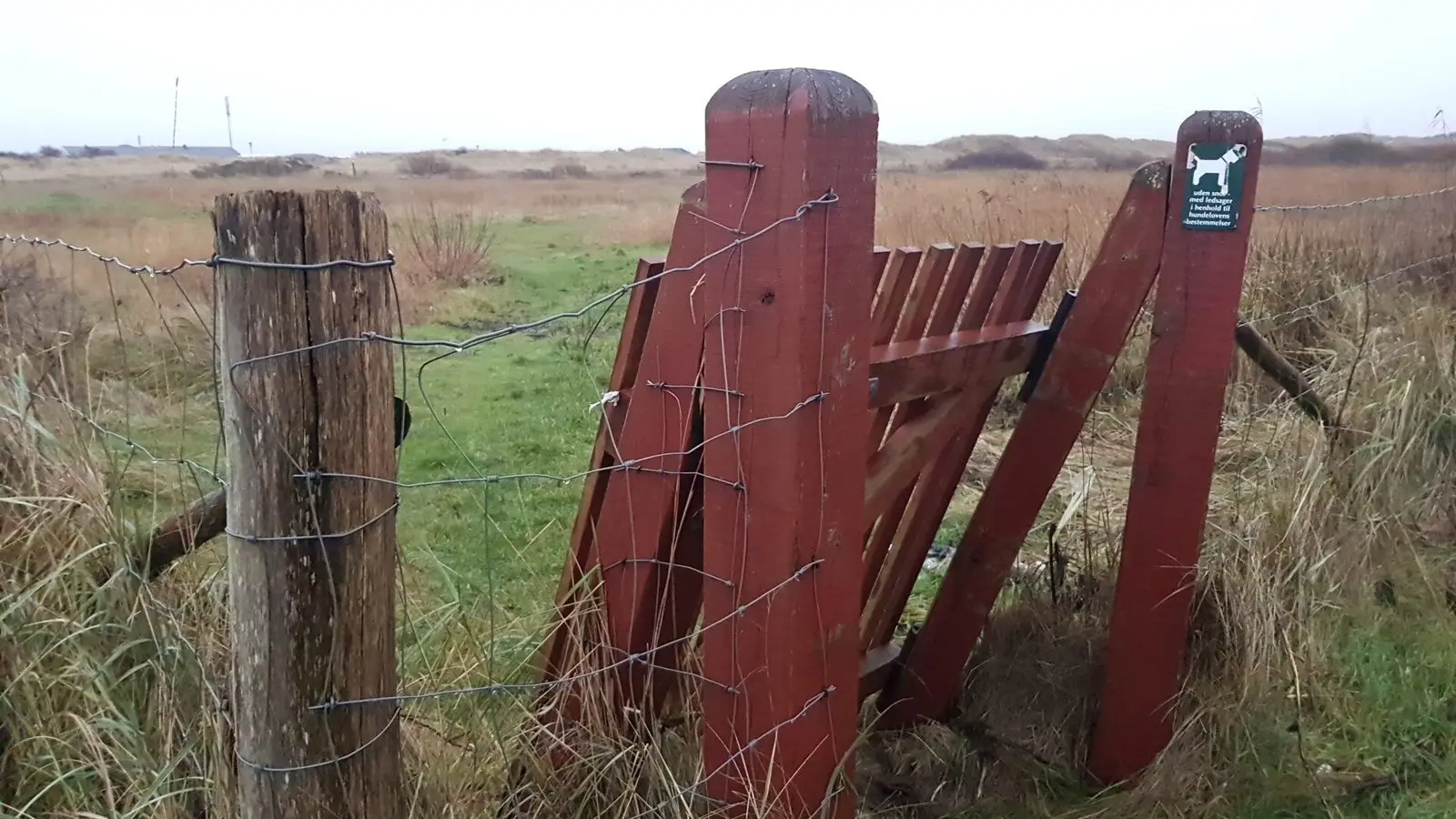 Rotes Tor mit Hundeschild am Hundeauslaufgebiet Lakolk auf Rømø
